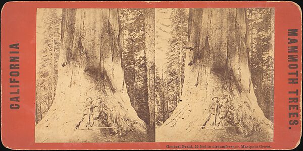 [Group of 100 Stereograph Views of California Nature and Landscapes With a Focus on Yosemite], Keystone View Company, Albumen silver prints