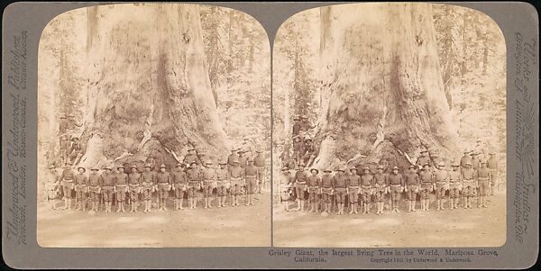 [Group of 100 Stereograph Views of California Nature and Landscapes With a Focus on Yosemite], Keystone View Company, Albumen silver prints