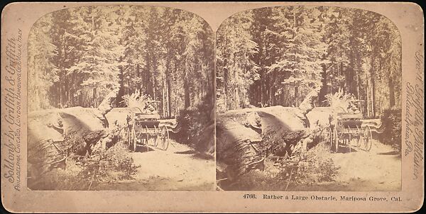 [Group of 100 Stereograph Views of California Nature and Landscapes With a Focus on Yosemite], Keystone View Company, Albumen silver prints