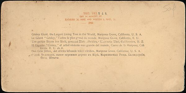 [Group of 100 Stereograph Views of California Nature and Landscapes With a Focus on Yosemite], Keystone View Company, Albumen silver prints