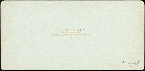 [Group of 100 Stereograph Views of California Nature and Landscapes With a Focus on Yosemite], Keystone View Company, Albumen silver prints