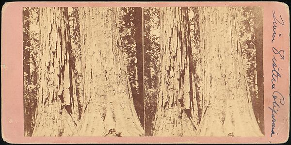 [Group of 100 Stereograph Views of California Nature and Landscapes With a Focus on Yosemite], Keystone View Company, Albumen silver prints