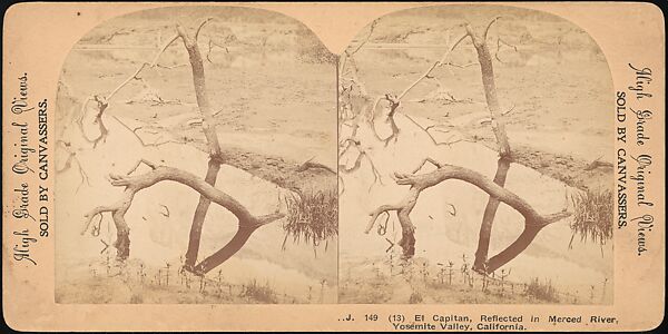 [Group of 100 Stereograph Views of California Nature and Landscapes With a Focus on Yosemite], Keystone View Company, Albumen silver prints