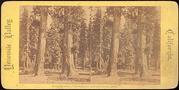 [Group of 100 Stereograph Views of California Nature and Landscapes With a Focus on Yosemite], Keystone View Company, Albumen silver prints
