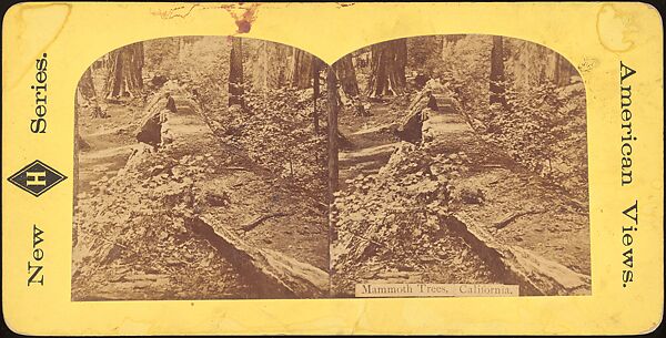 [Group of 100 Stereograph Views of California Nature and Landscapes With a Focus on Yosemite], Keystone View Company, Albumen silver prints