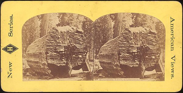 [Group of 100 Stereograph Views of California Nature and Landscapes With a Focus on Yosemite], Keystone View Company, Albumen silver prints
