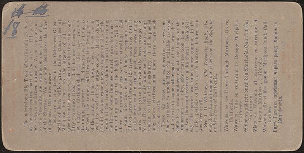 [Group of 100 Stereograph Views of California Nature and Landscapes With a Focus on Yosemite], Keystone View Company, Albumen silver prints