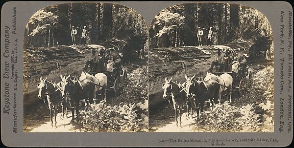 [Group of 100 Stereograph Views of California Nature and Landscapes With a Focus on Yosemite]