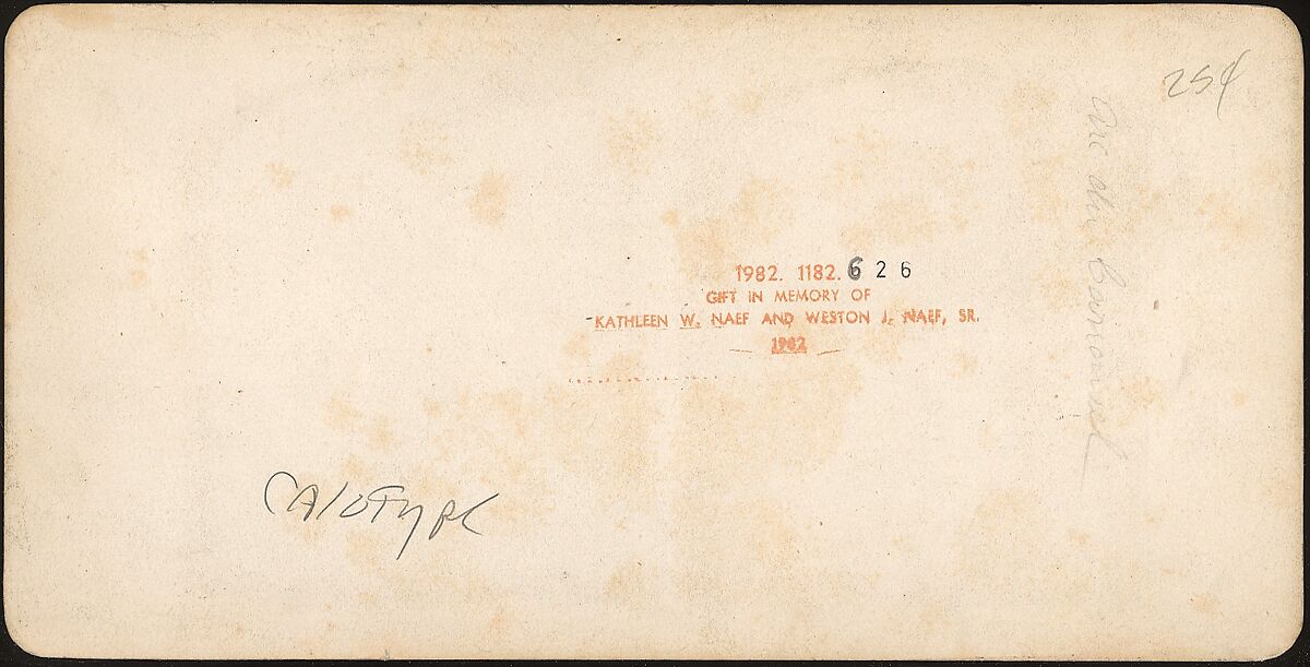 [Group of 17 Early Calotype Stereograph Views], Unknown, Albumen silver prints