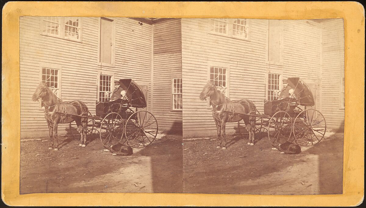 [Group of 9 Stereograph Views of Carriages, Stagecoaches, and Wagons], Unknown (American), Albumen silver prints