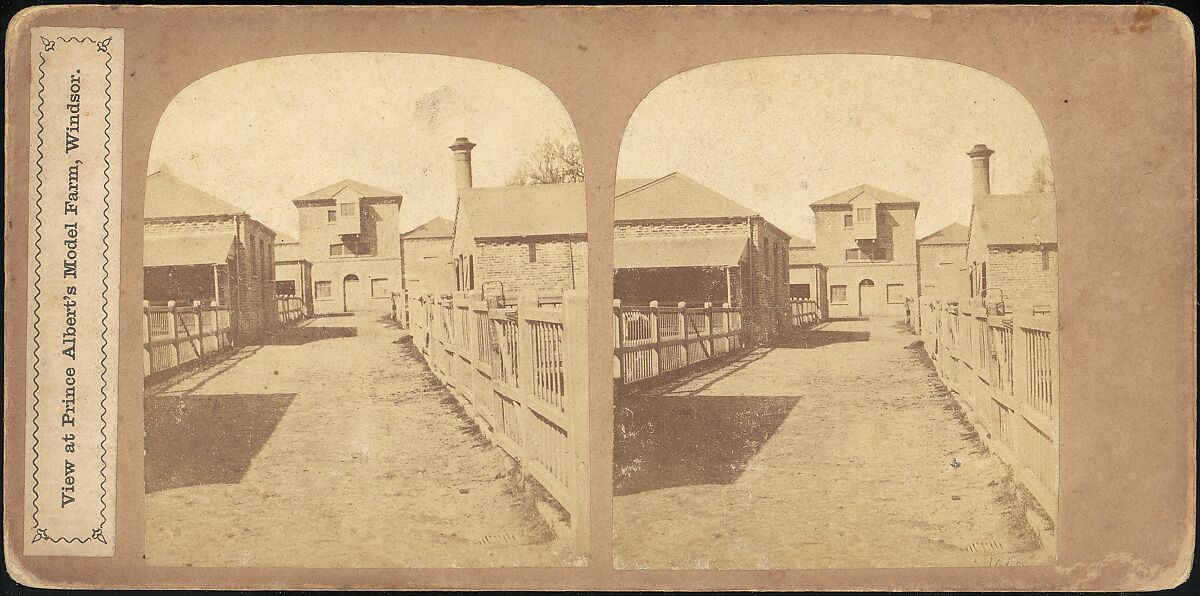 [Group of 3 Stereograph Views of British Buildings], Unknown (British), Albumen silver prints