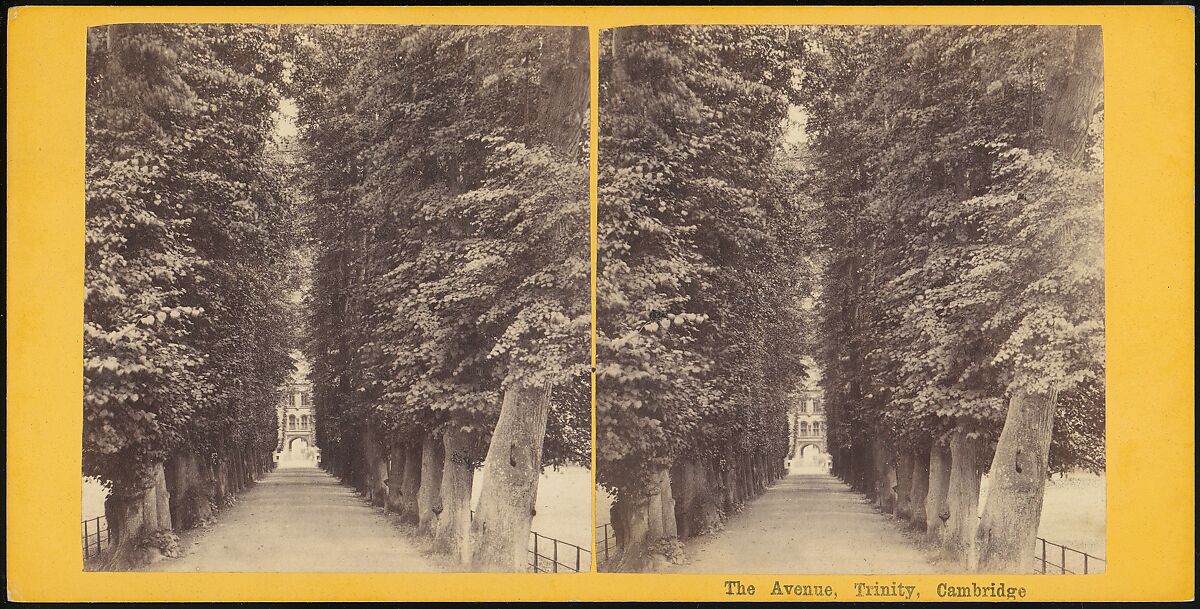 [Group of 15 Early Stereograph Views of Cambridge, England and the Surrounding Area], Thomas Small (British), Albumen silver prints