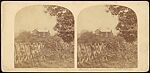 [Group of 11 Early Stereograph Views of Famous British Houses], Unknown (British), Albumen silver prints