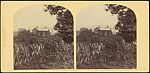 [Group of 11 Early Stereograph Views of Famous British Houses], Unknown (British), Albumen silver prints
