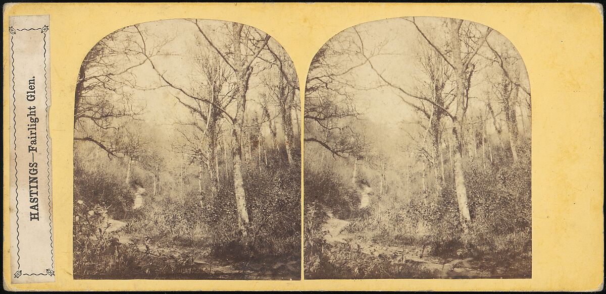 [Group of 11 Early Stereograph Views of British Landscapes], Westley's Cheltenham Library (British), Albumen silver prints