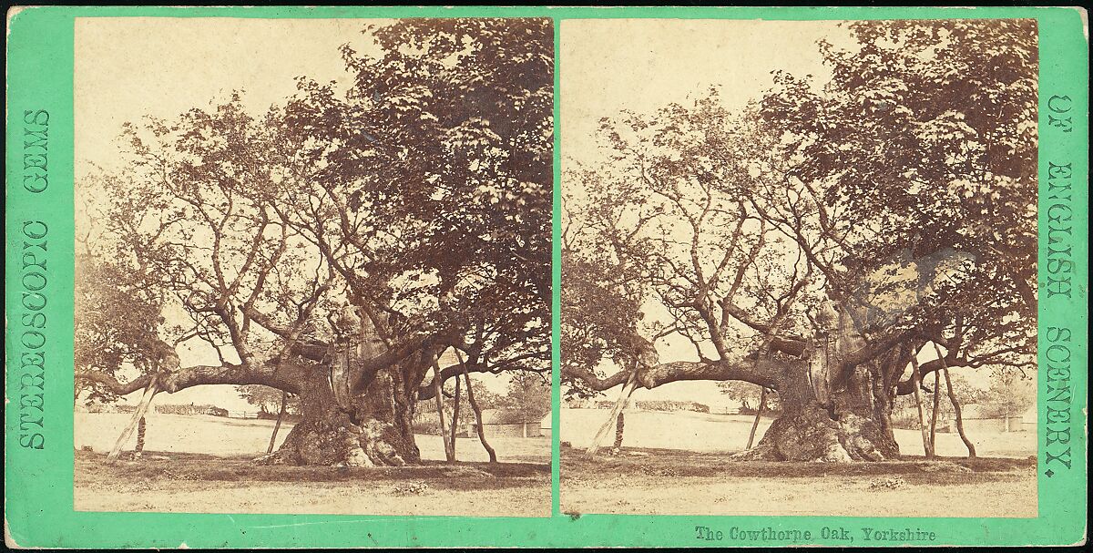 [Group of 11 Early Stereograph Views of British Landscapes], Westley's Cheltenham Library (British), Albumen silver prints