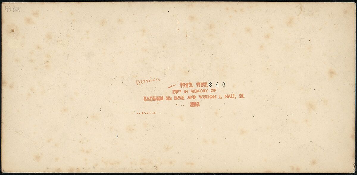 [Group of 11 Early Stereograph Views of British Landscapes], Westley's Cheltenham Library (British), Albumen silver prints