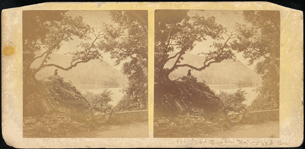 [Group of 11 Early Stereograph Views of British Landscapes], Westley's Cheltenham Library (British), Albumen silver prints