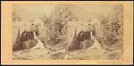[Group of 17 Early Stereograph Views of British Seascapes and Waterscapes], Unknown (British), Albumen silver prints