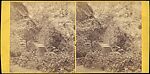 [Group of 3 Stereograph Views of Shanklin Chine, Isle of Wight, England], Unknown (British), Albumen silver prints