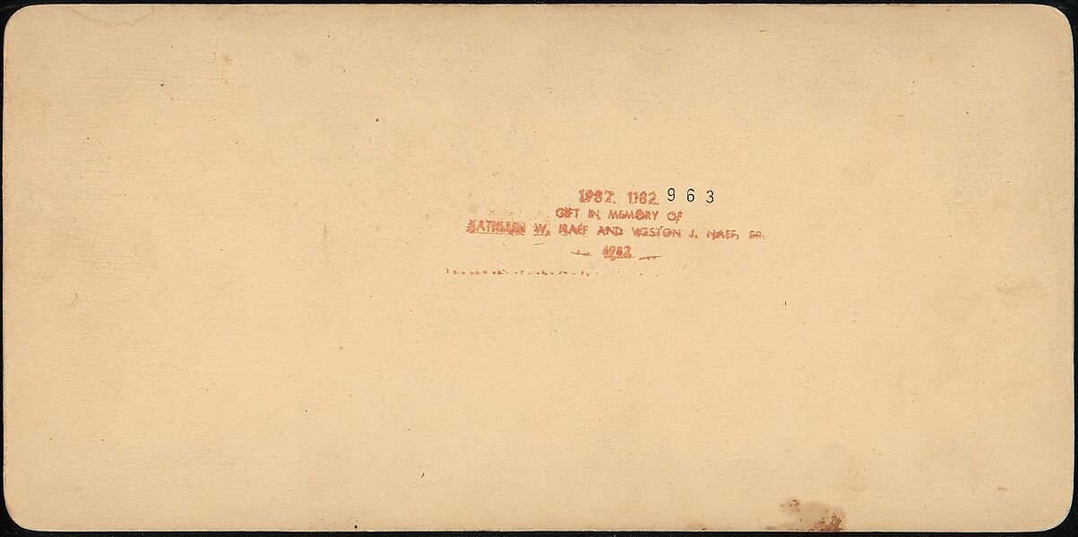 [Pair of Stereograph Views of the Royal Botanic Gardens, Kew Gardens, London, England], J. F. Jarvis (American), Albumen silver prints