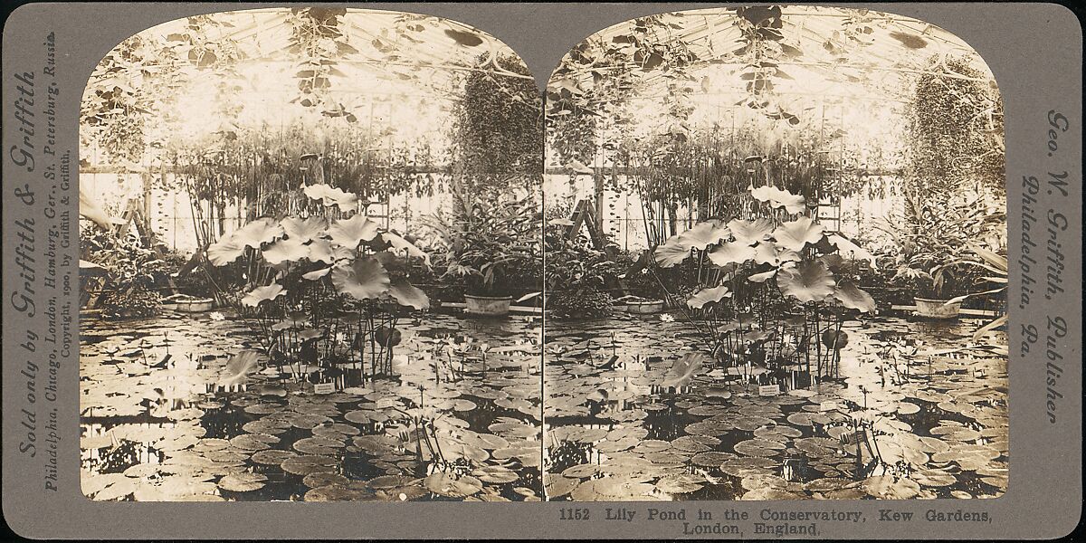 [Pair of Stereograph Views of the Royal Botanic Gardens, Kew Gardens, London, England], J. F. Jarvis (American), Albumen silver prints