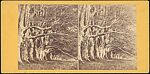 [Group of 15 Stereograph Views of Scotland and England], Unknown (British), Albumen silver prints