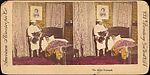 [Group of 7 Stereograph Views of Families With Babies], Unknown, Albumen silver prints