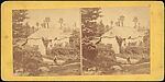 [Group of 6 Stereograph Views of British Homes], Unknown (British), Albumen silver prints