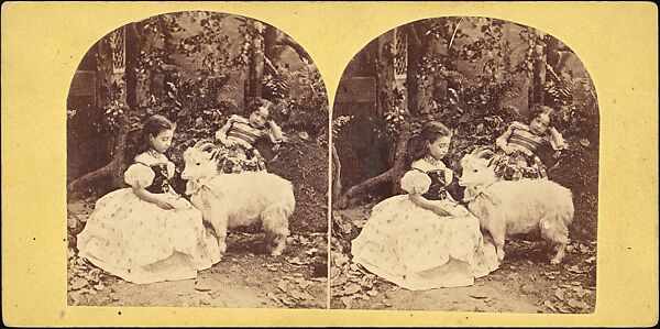 [Group of 31 Stereograph Views of Children With Animals], Life Groups (American), Albumen silver prints 