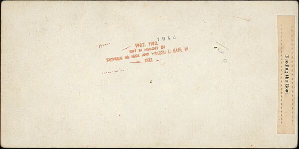 [Group of 31 Stereograph Views of Children With Animals], Life Groups (American), Albumen silver prints