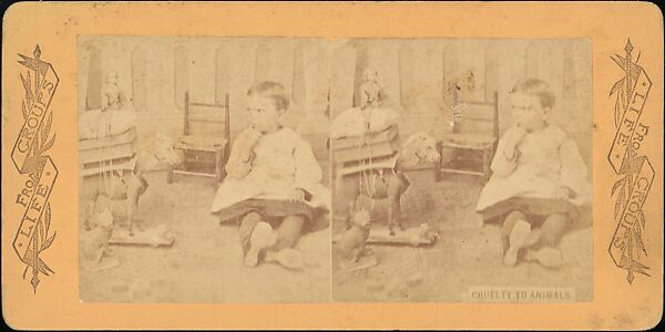 [Group of 31 Stereograph Views of Children With Animals], Life Groups (American), Albumen silver prints