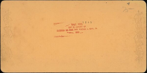 [Group of 31 Stereograph Views of Children With Animals], Life Groups (American), Albumen silver prints