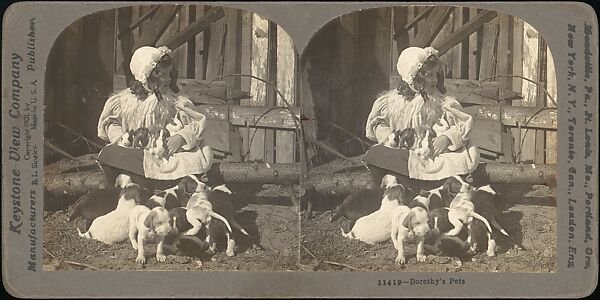 [Group of 31 Stereograph Views of Children With Animals], Life Groups (American), Albumen silver prints