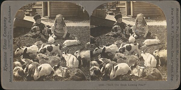 [Group of 31 Stereograph Views of Children With Animals], Life Groups (American), Albumen silver prints