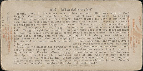 [Group of 31 Stereograph Views of Children With Animals], Life Groups (American), Albumen silver prints