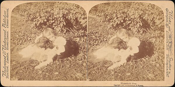 [Group of 31 Stereograph Views of Children With Animals], Life Groups (American), Albumen silver prints