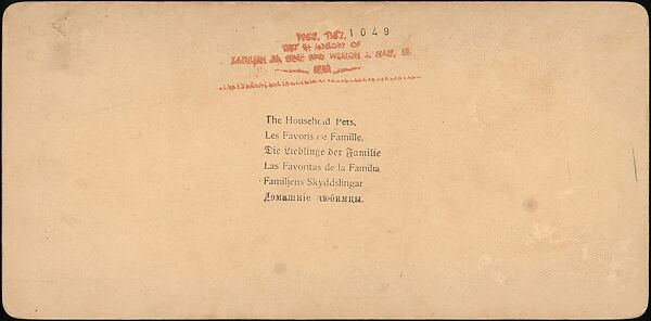 [Group of 31 Stereograph Views of Children With Animals], Life Groups (American), Albumen silver prints