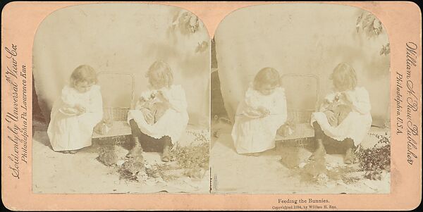 [Group of 31 Stereograph Views of Children With Animals], Life Groups (American), Albumen silver prints