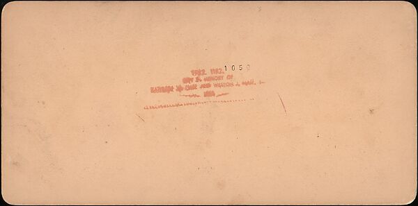 [Group of 31 Stereograph Views of Children With Animals], Life Groups (American), Albumen silver prints