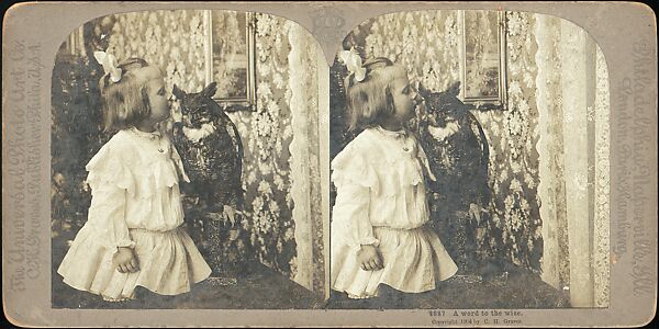 [Group of 31 Stereograph Views of Children With Animals], Life Groups (American), Albumen silver prints