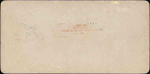 [Group of 31 Stereograph Views of Children With Animals], Life Groups (American), Albumen silver prints