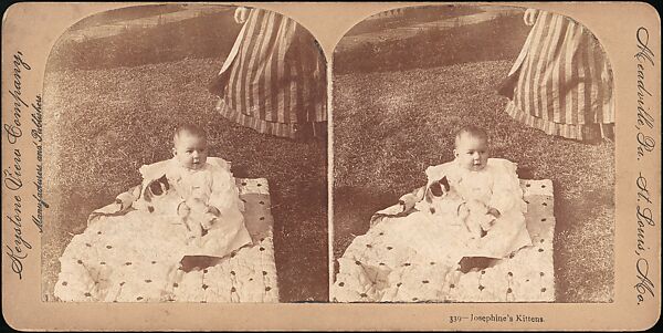 [Group of 31 Stereograph Views of Children With Animals], Life Groups (American), Albumen silver prints