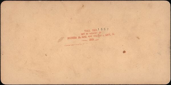 [Group of 31 Stereograph Views of Children With Animals], Life Groups (American), Albumen silver prints