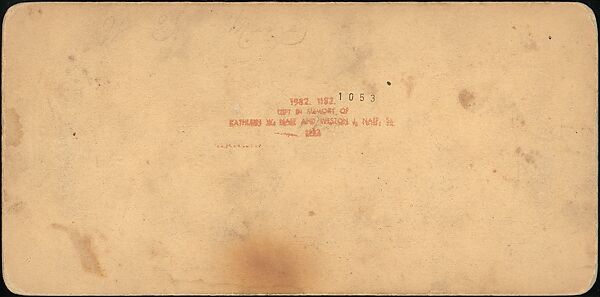 [Group of 31 Stereograph Views of Children With Animals], Life Groups (American), Albumen silver prints