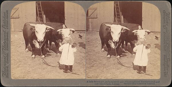 [Group of 31 Stereograph Views of Children With Animals], Life Groups (American), Albumen silver prints