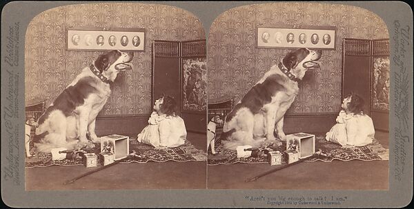 [Group of 31 Stereograph Views of Children With Animals], Life Groups (American), Albumen silver prints