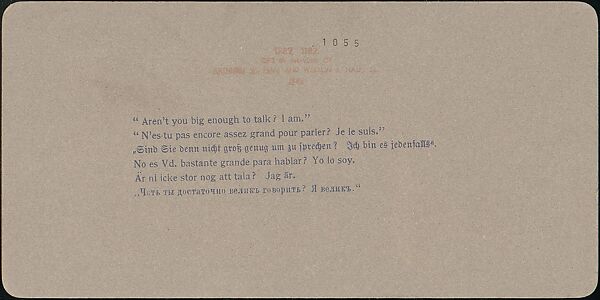 [Group of 31 Stereograph Views of Children With Animals], Life Groups (American), Albumen silver prints