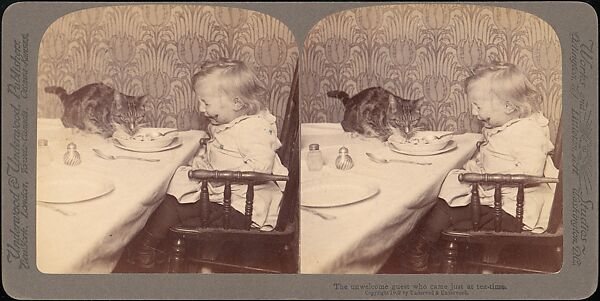 [Group of 31 Stereograph Views of Children With Animals], Life Groups (American), Albumen silver prints