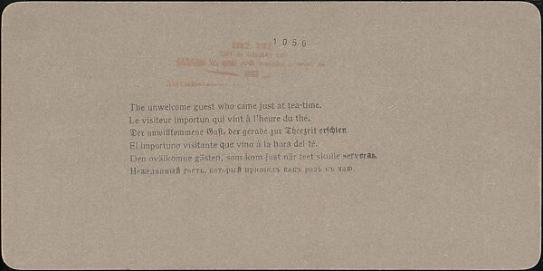 [Group of 31 Stereograph Views of Children With Animals], Life Groups (American), Albumen silver prints